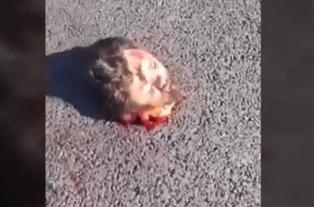 В Турции байкер влетел в аварию на скорости 298 км/час