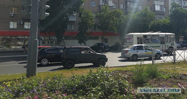 Подборка интересных и веселых картинок