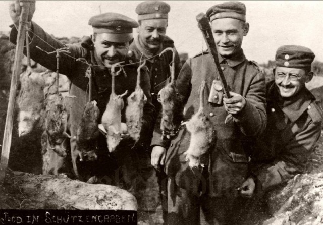 История в фотографиях