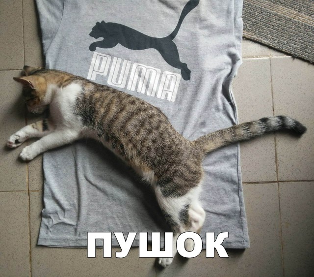 Нестандартный юмор