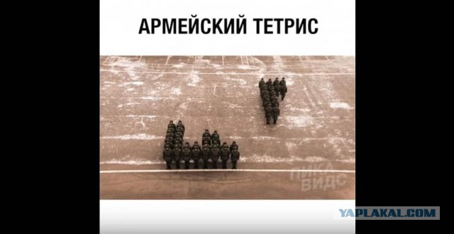 Настоящий "Ну, погоди!" в реальности!