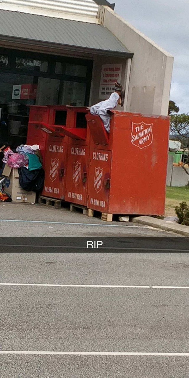 Скотсети и прочие интернеты 04.03.19