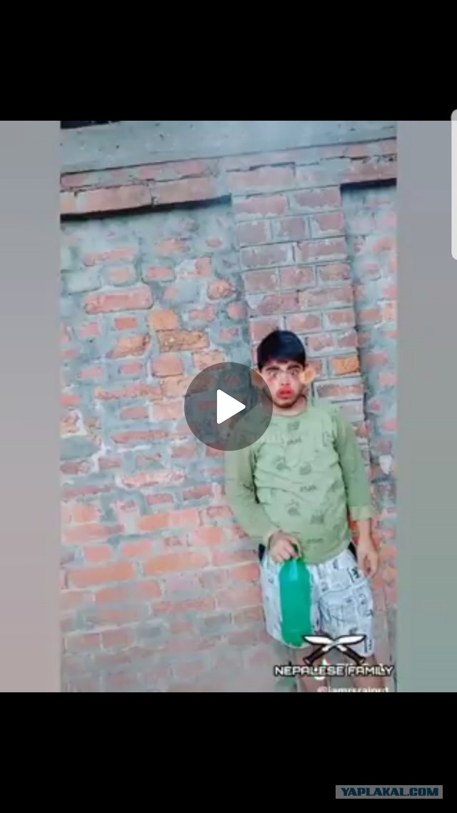 Прикололись