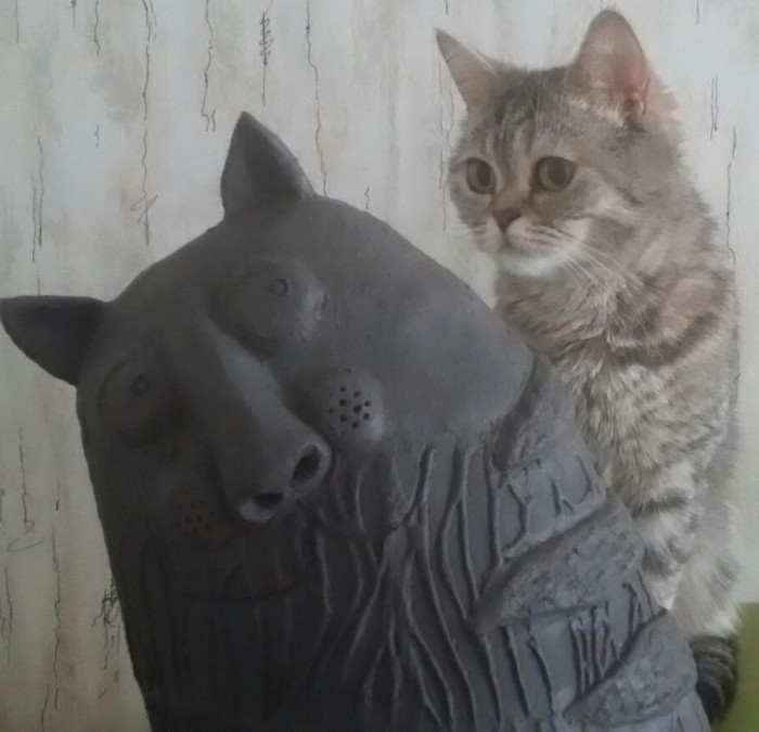 Мой персональный кот с лампой