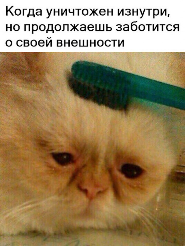 Немного картинок для настроения 06.12.19