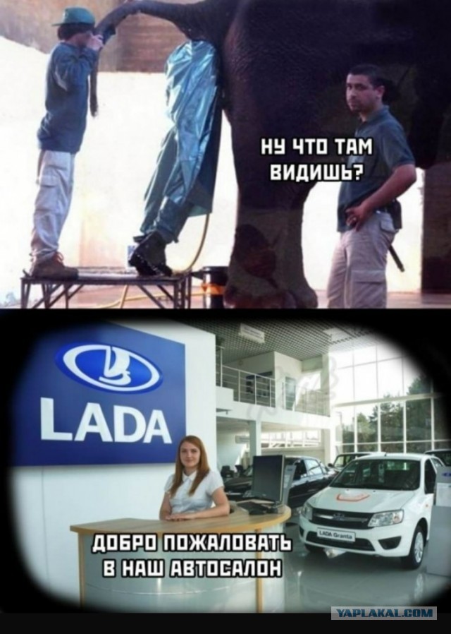 Честный отчет по Весте