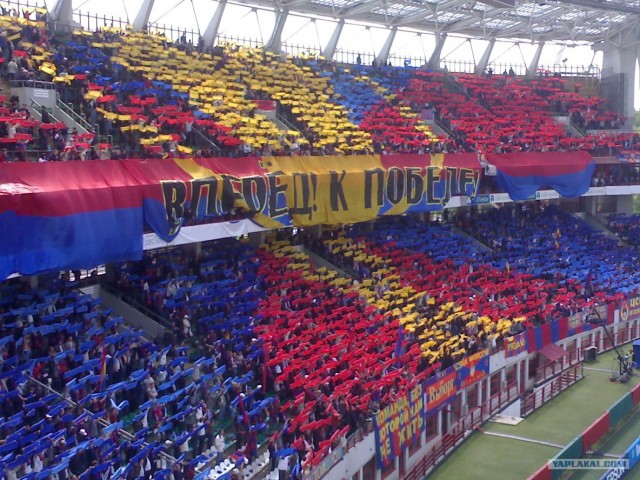 Чемпионат России 2011/12 , кубок