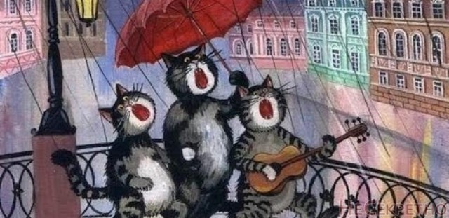 День кошек отмечают в России 1 марта