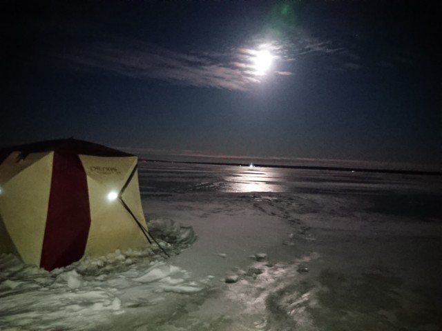 Со своих рыбалок, лето 2019