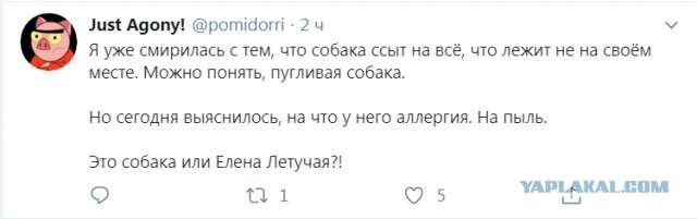 Дед Семёна