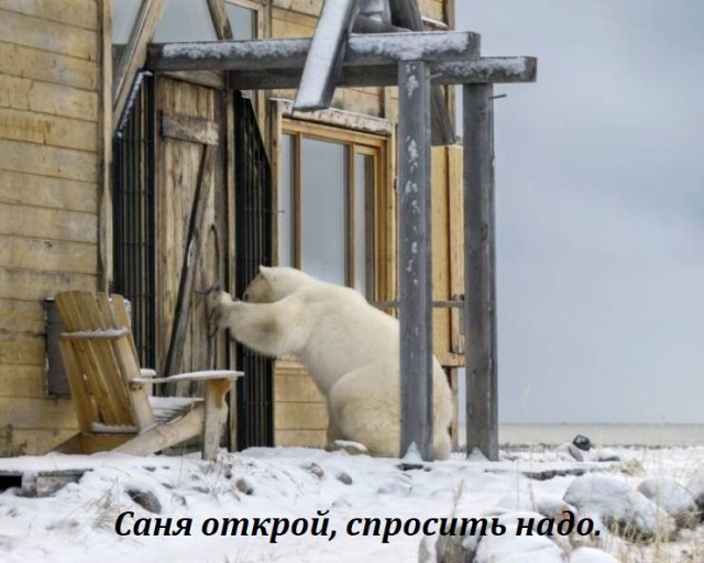 Юмор в картинках 08.08.20