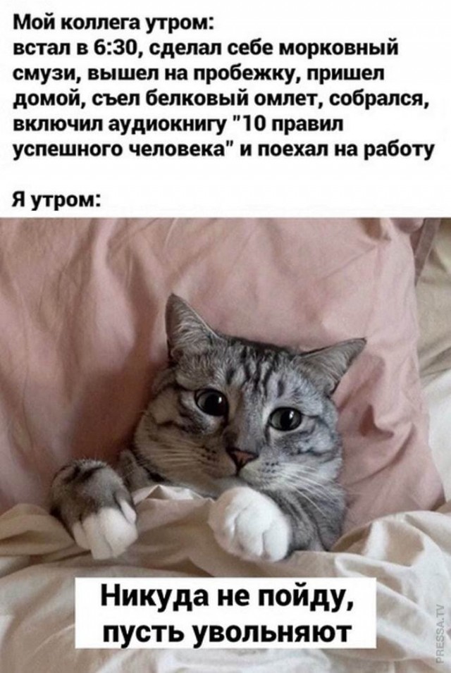 Немного картинок для настроения 18.11.20
