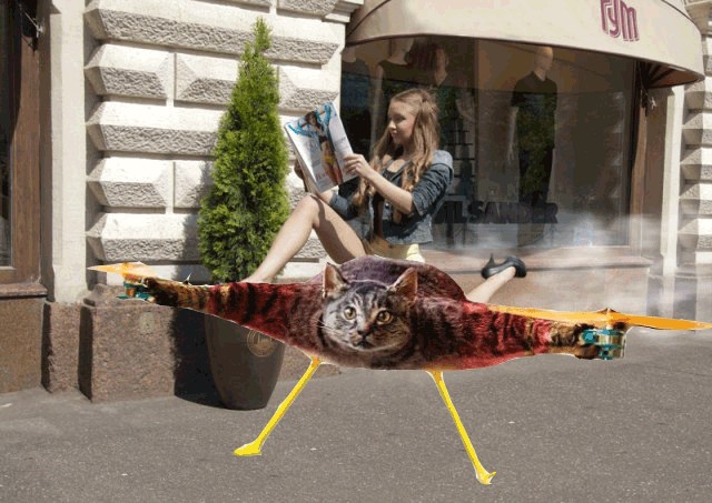 Фотожаба: Читает журнал на лету