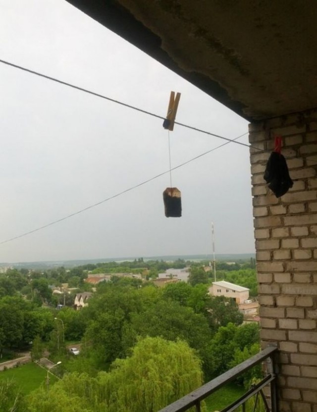 Фотосалат и картинки