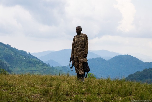 Уганда: самая настоящая Африка с гориллами и носорогами!