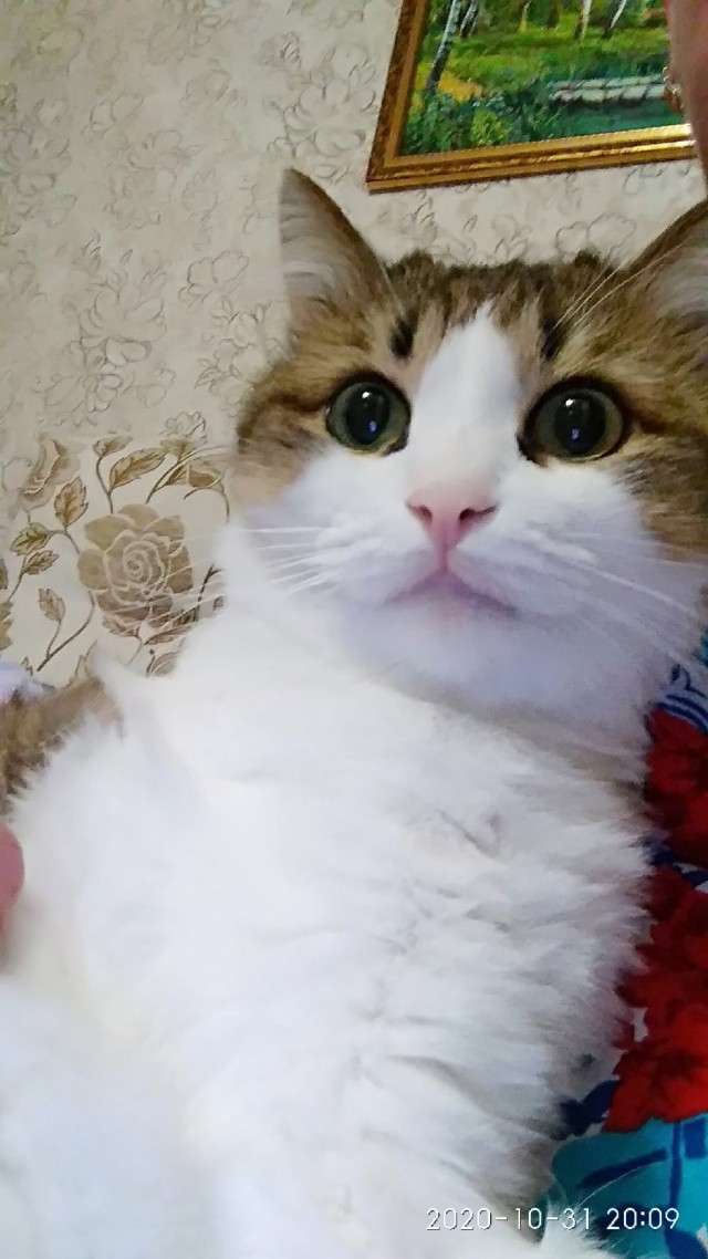 Добрые картинки 28.11.20