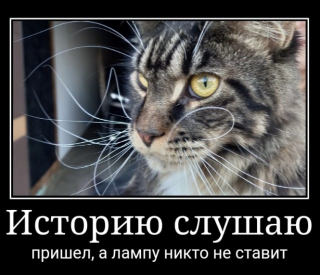 Вторник-кото