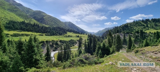 Кулинарная общалка