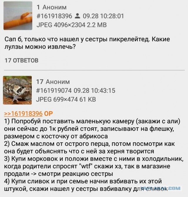 Кретинизмы из сети 01.09.2021