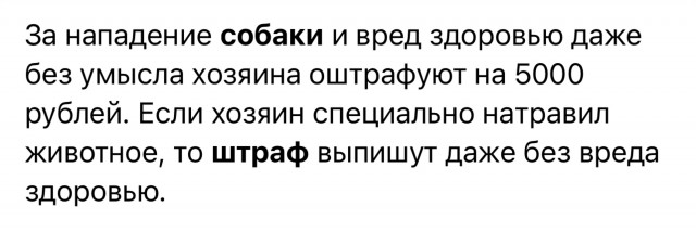 В Тульской области в подъезде дома на ребенка напала собака
