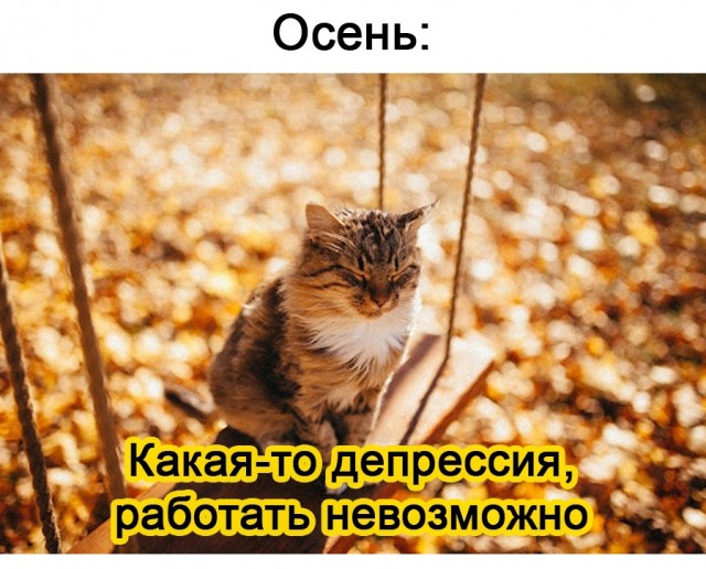Так себе картинки 19.10.21