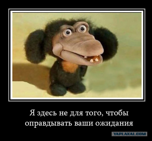 Да вы, реально, заебали уже!