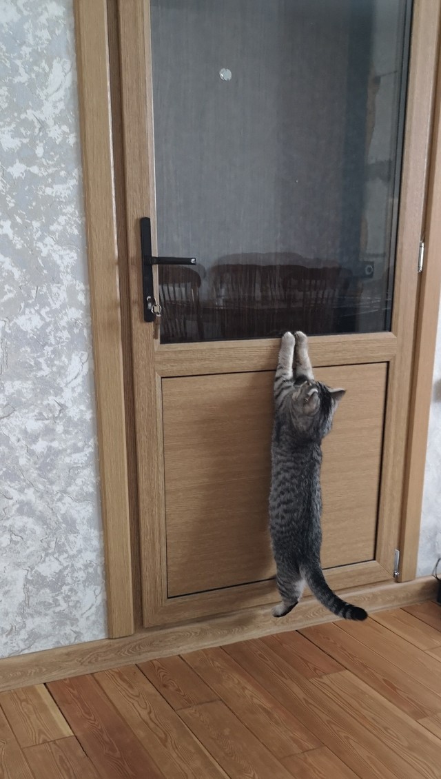Глазищщи