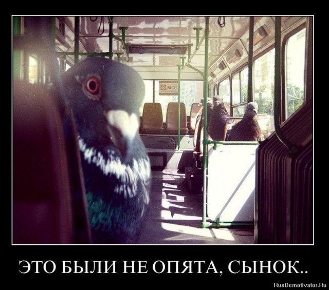 Генерация нейросети