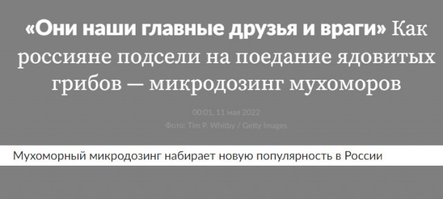 Пандемия. Коронавирус и съехавшие крыши. Россия и мир. Часть 34.