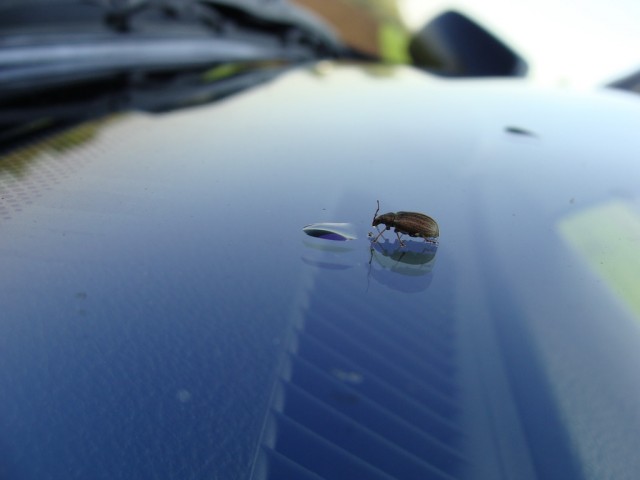 Поездка в Киев