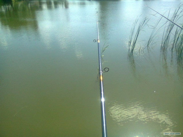 Моя первая рыбалка...