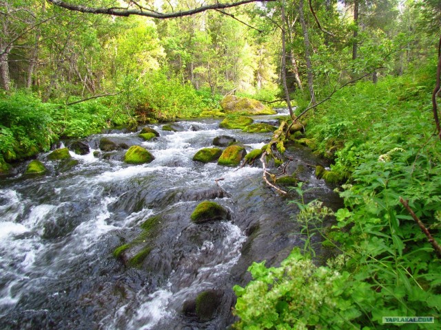 Трекинг по Ловозерским тундрам