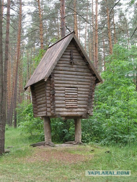 Что такое "Курьи ножки" ?