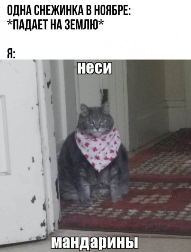 Картинки и мемы. Выходные близко...