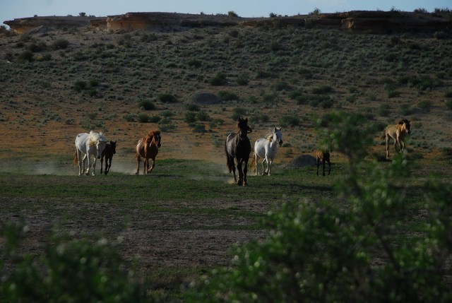 Путешествие на ВАЗе