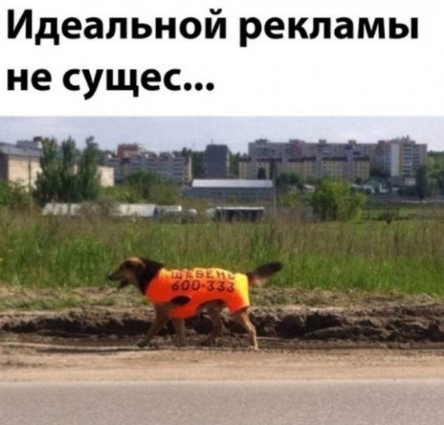Картинки и мемы. Выходные близко...