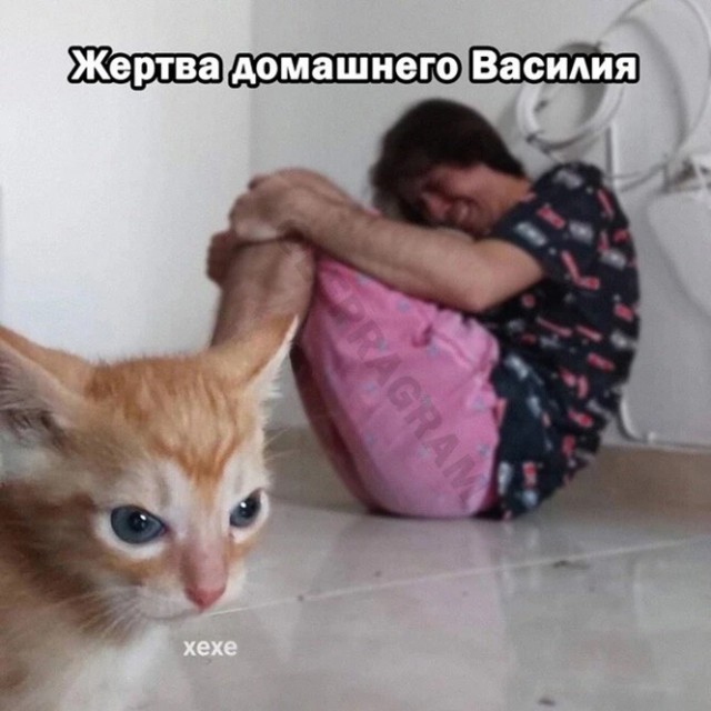 Слово за слово и понеслась