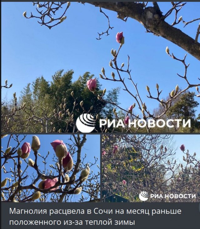 Победная поступь идиотизма по планете – том 7