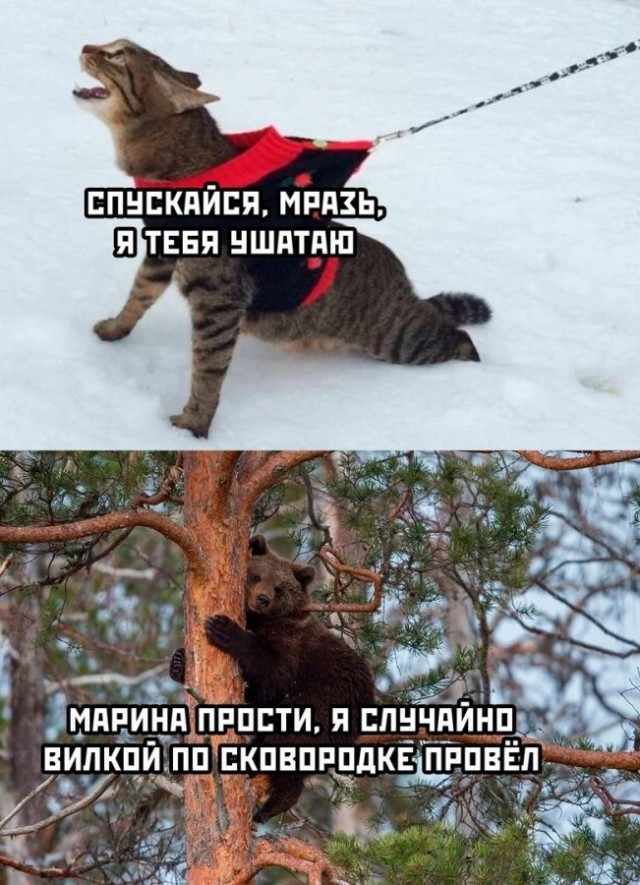Картинки с надписями 28.01.23