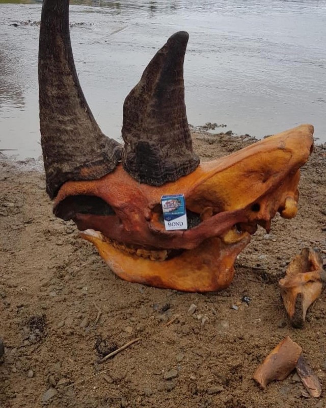 Вот это находка