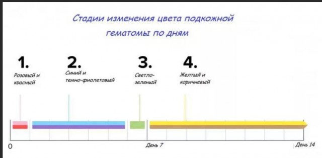 Победная поступь идиотизма по планете – том 8