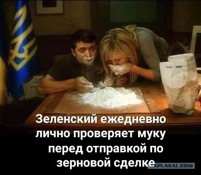 "Мы все хотели бы видеть в Гааге другого Владимира — того, который заслуживает быть осужденным за преступные действия".