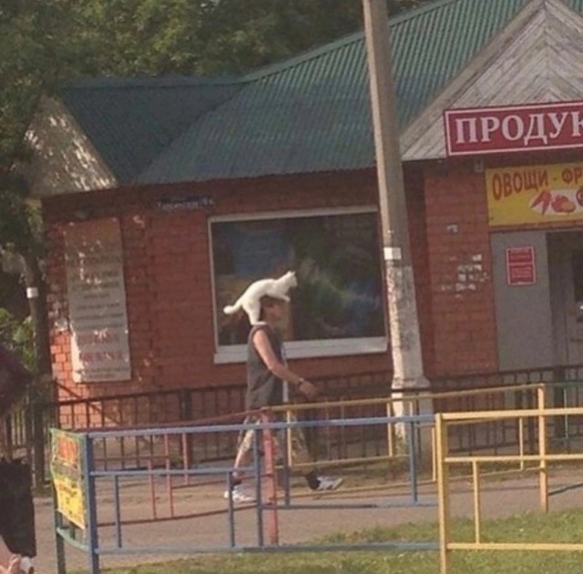 Так себе картинки 11.06.23