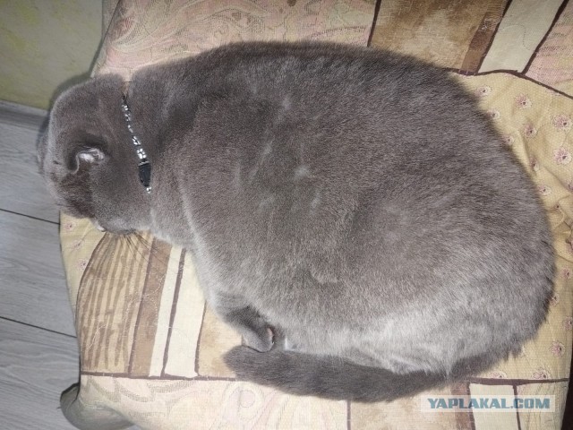 Вот вам