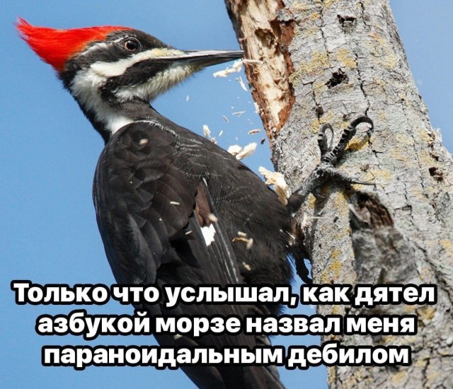 Так себе картинки 20.07.23