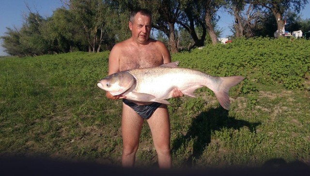 Рыболовная арифметика