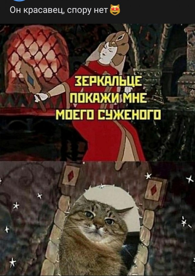 Шесть мифов о холостяках и их жизни