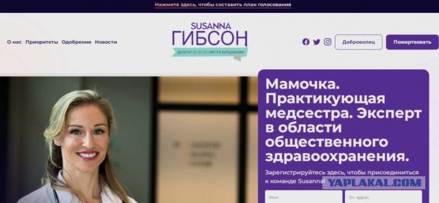 Кандидат от Демократической партии из Вирджинии оказалась вебкамщицей