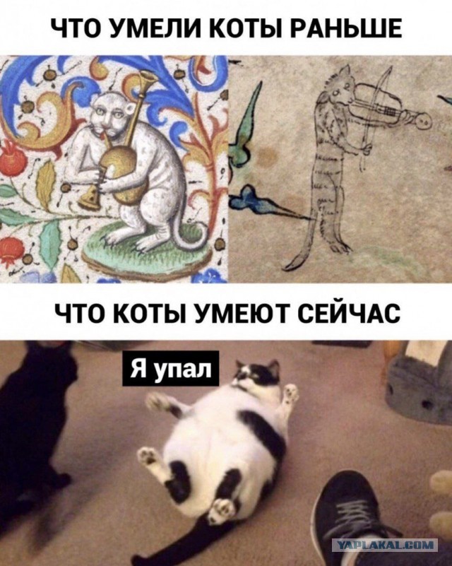 Чуток картинок