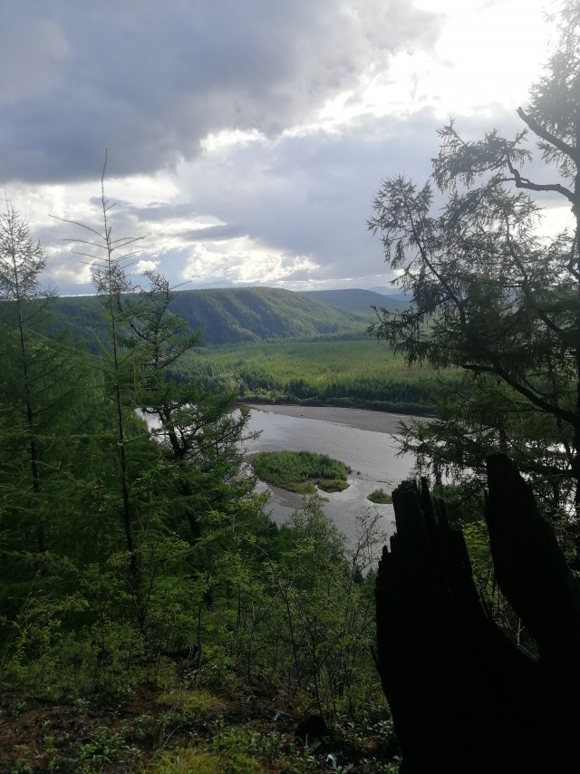 Красивые фото ЯПа